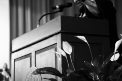 Photo-Oct-30-2025-11-34-56-AM-Large